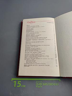 Цветы в комнате и на балконе