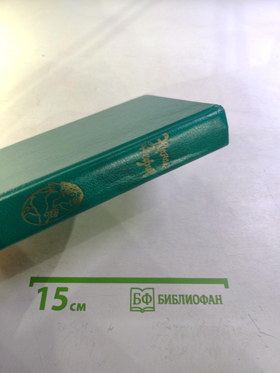 Ночной Зефир