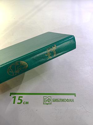 Ночной Зефир