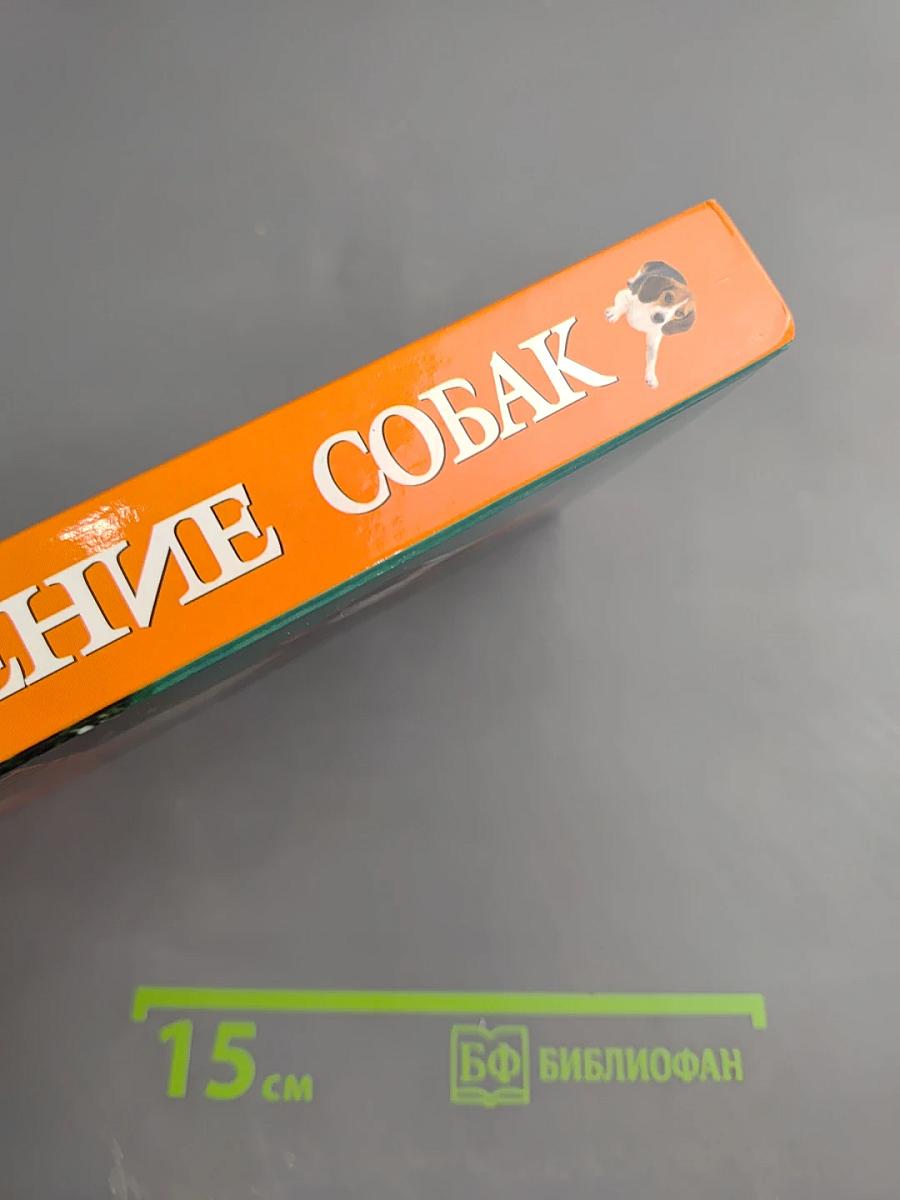 Кормление собак