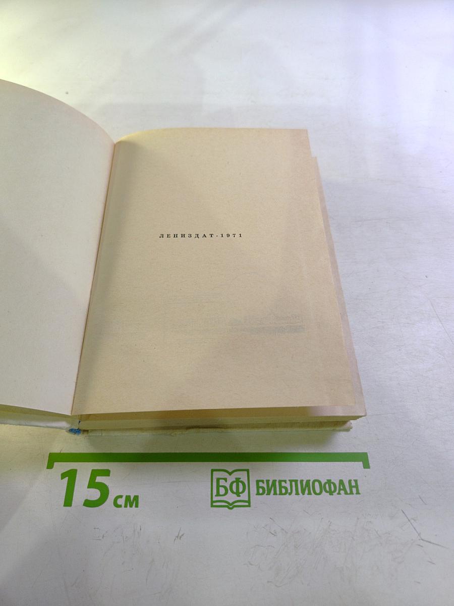 Стасов в Петербурге