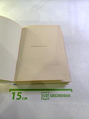 Стасов в Петербурге