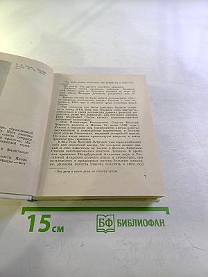 Стасов в Петербурге