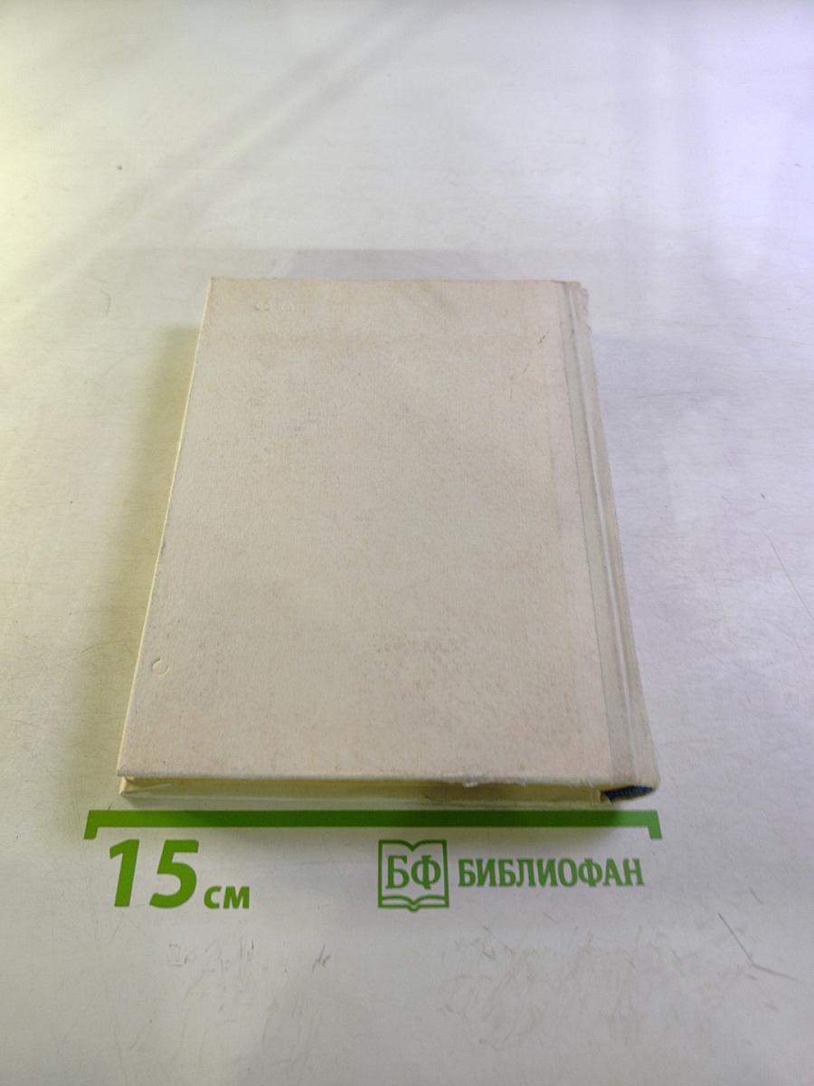 Стасов в Петербурге