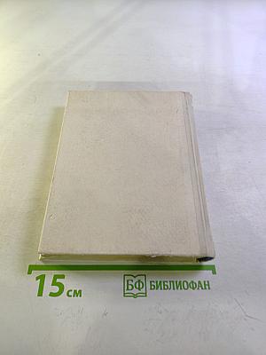 Стасов в Петербурге