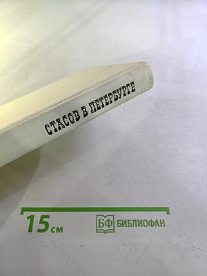 Стасов в Петербурге