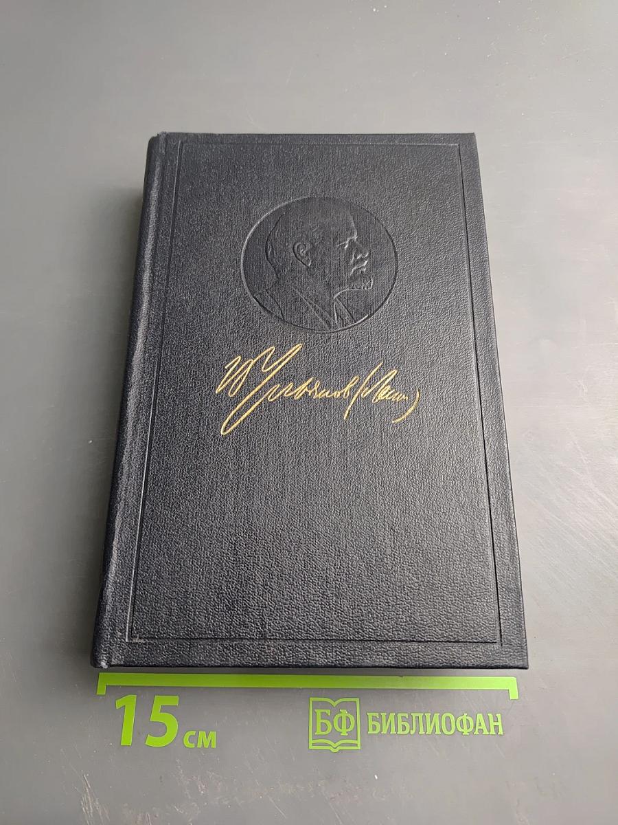 Полное собрание сочинений. Том 51. Письма. Июль 1919 - Ноябрь 1920