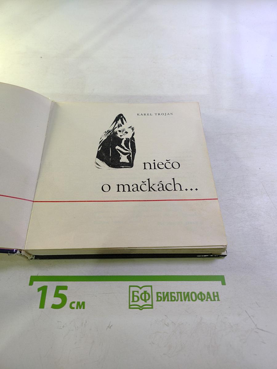 Niečo o mačkách...