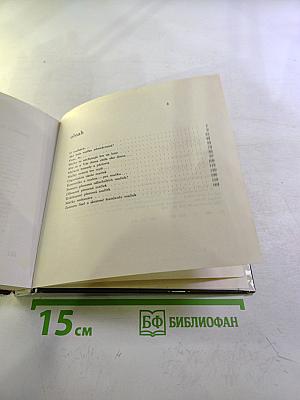 Niečo o mačkách...