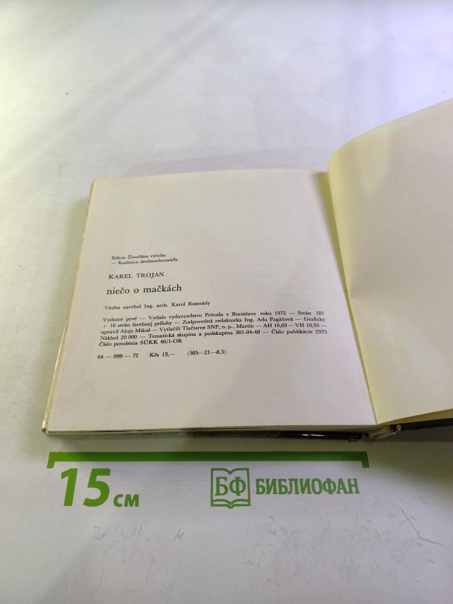 Niečo o mačkách...