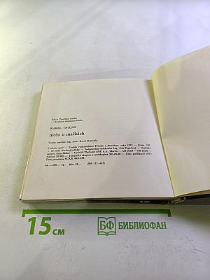 Niečo o mačkách...