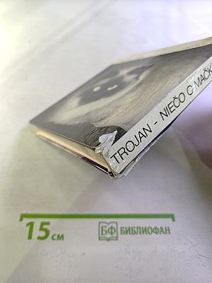 Niečo o mačkách...