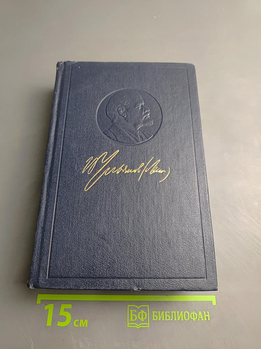 Полное собрание сочинений. Том 17