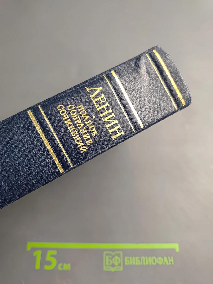 Полное собрание сочинений. Том 17