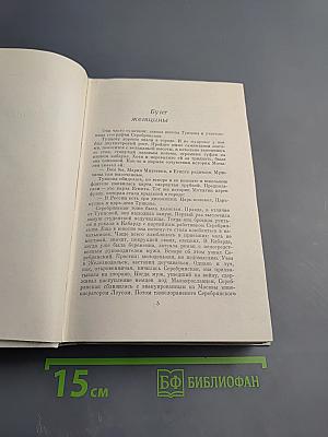 Лягушонок на асфальте