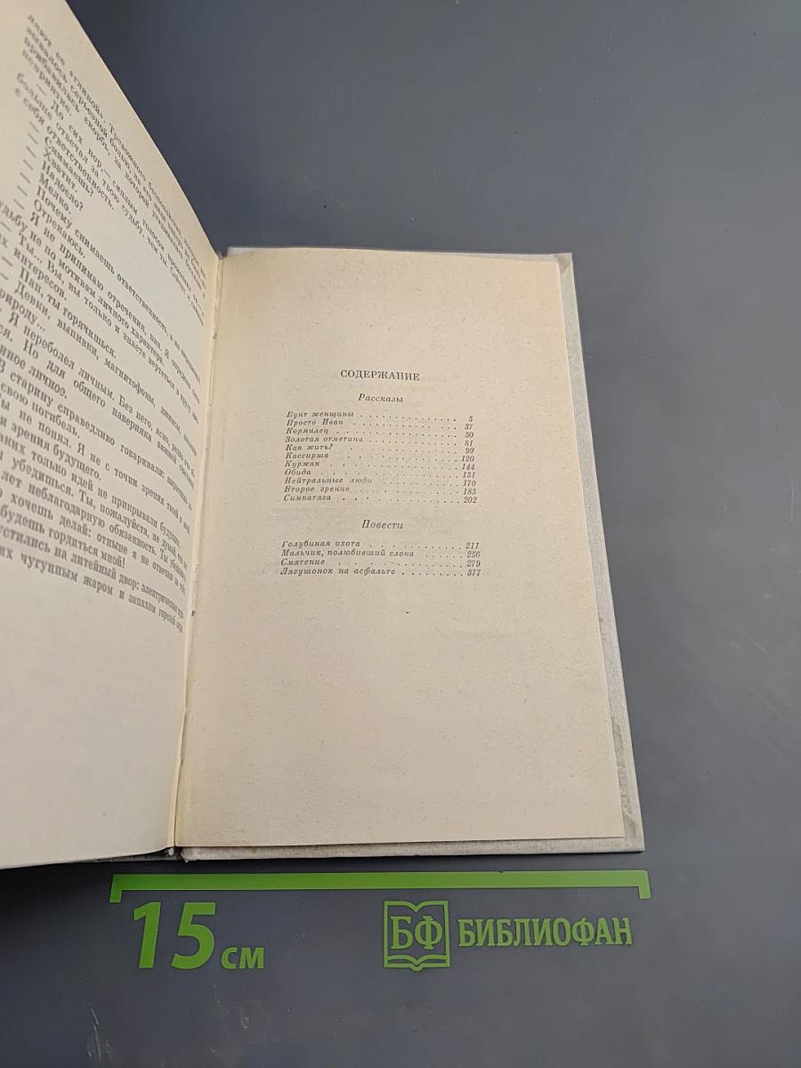 Лягушонок на асфальте