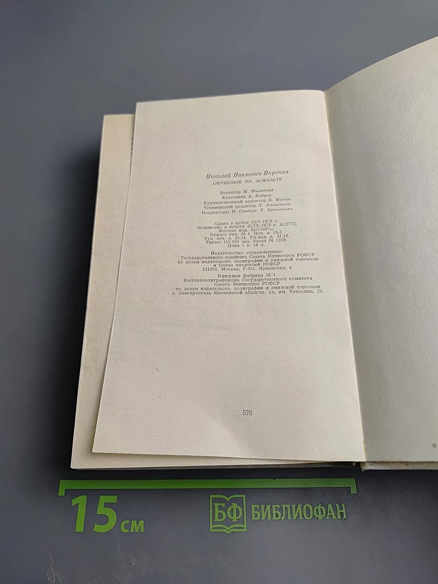 Лягушонок на асфальте