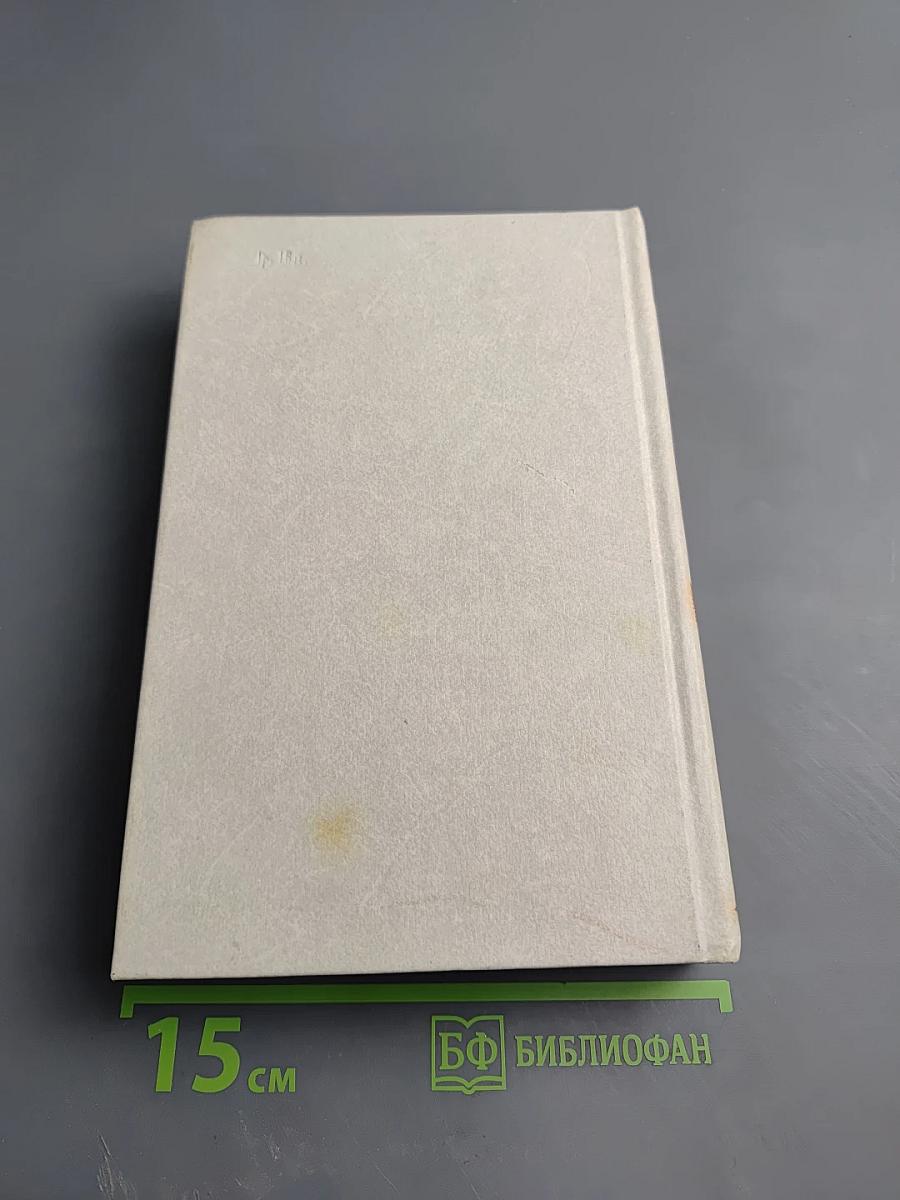 Лягушонок на асфальте