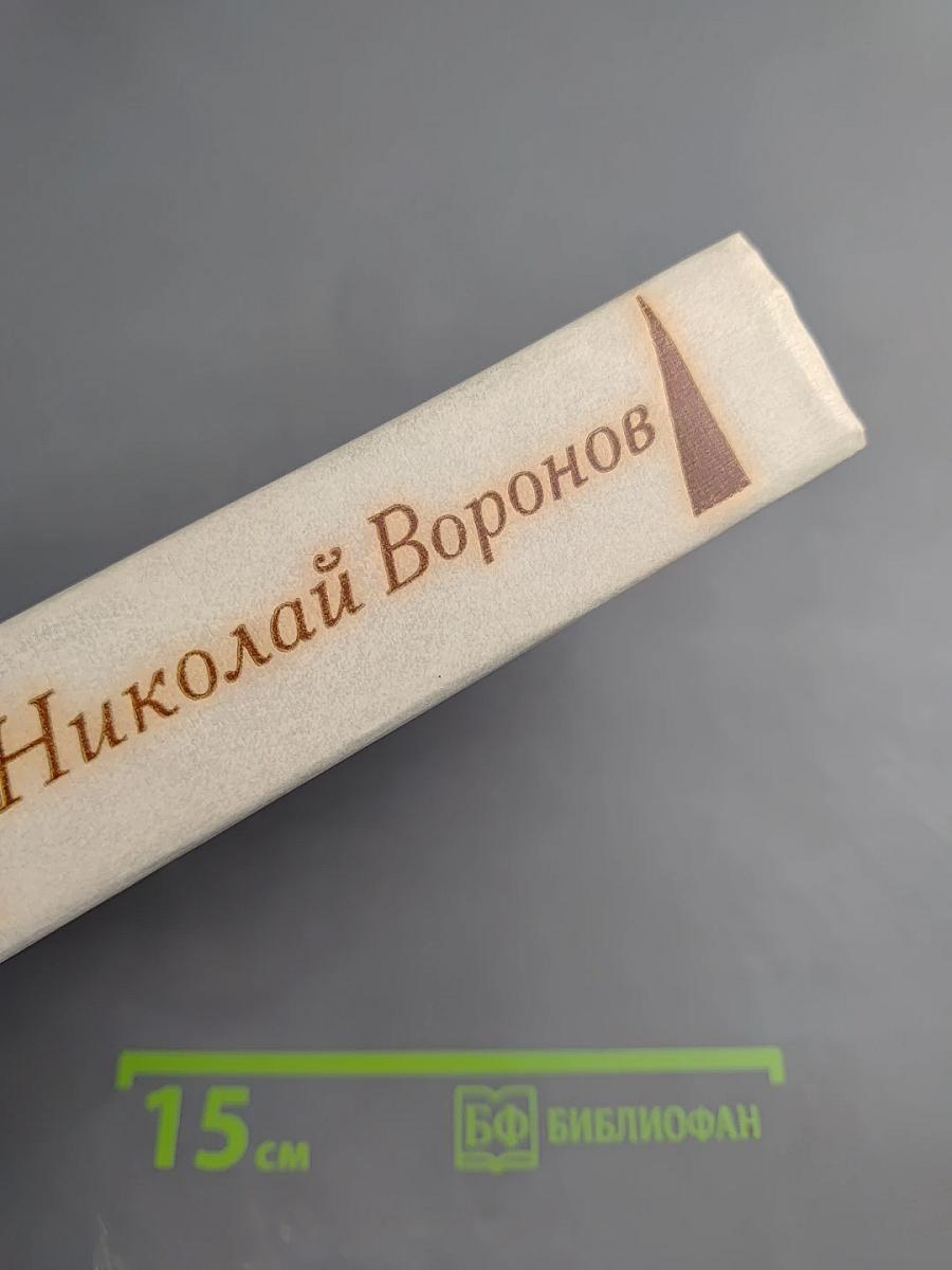 Лягушонок на асфальте