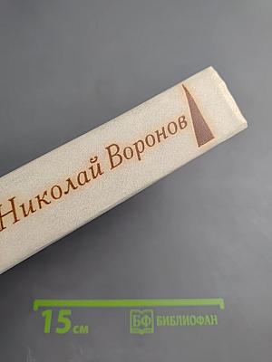 Лягушонок на асфальте