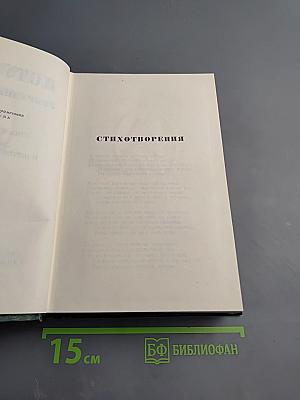 Собрание сочинений. Том десятый: Стихотворения, поэмы, литературные и житейские воспоминания, переводы