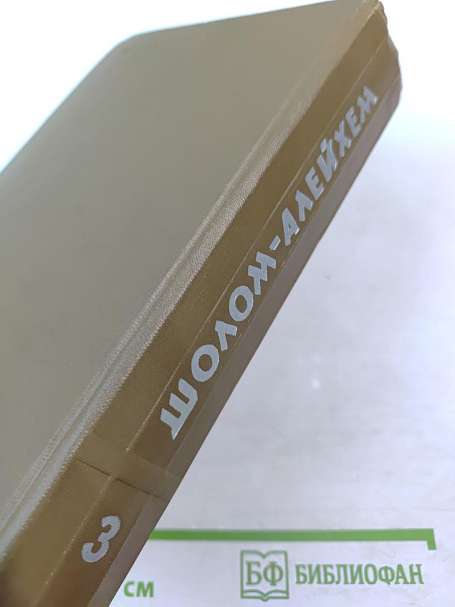 Собрание сочинений. Том третий: Мальчик Мотл. С ярмарки