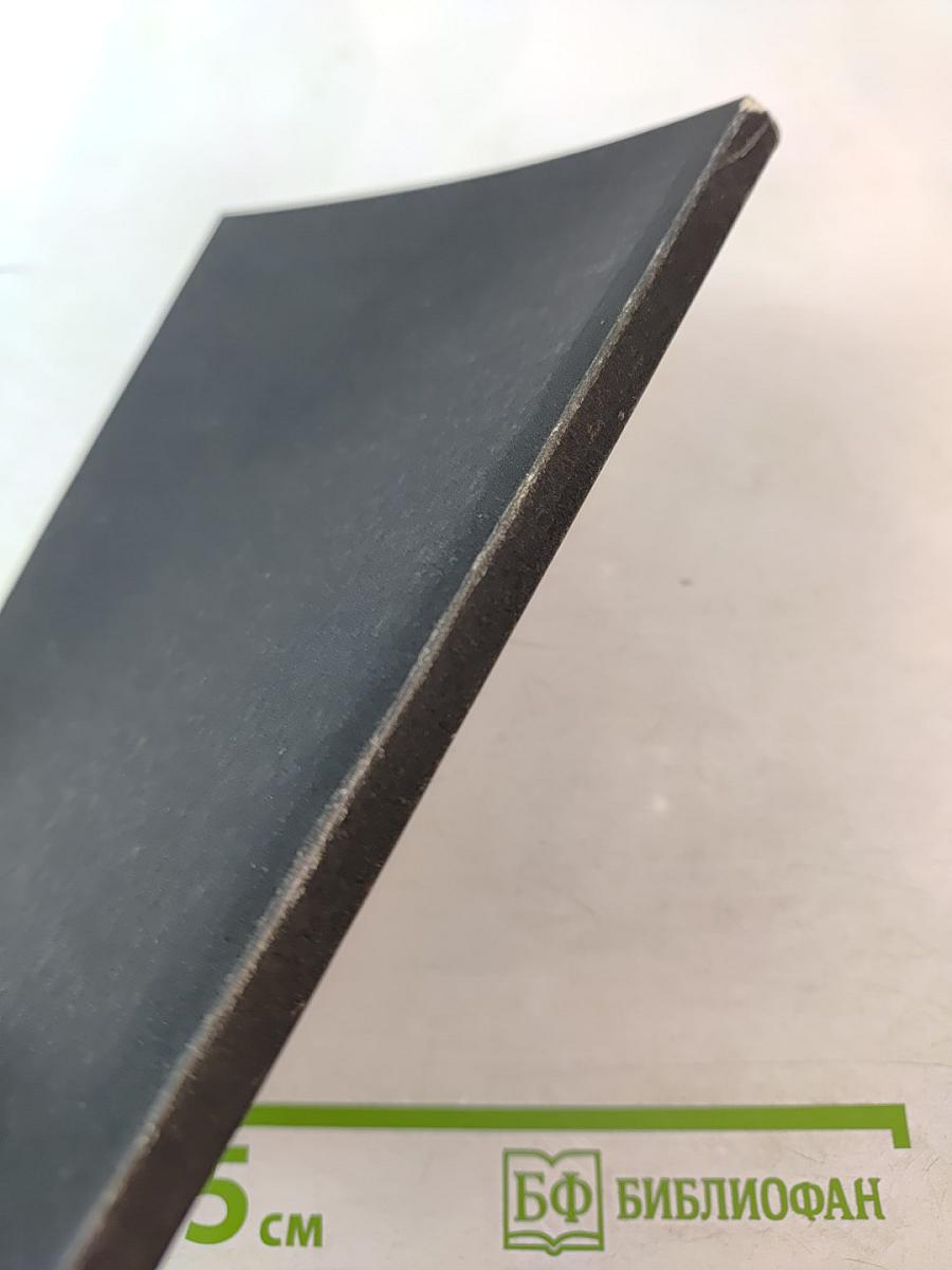 Фюреры. Общая теория фашизма. Книга III