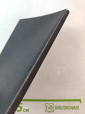 Фюреры. Общая теория фашизма. Книга III