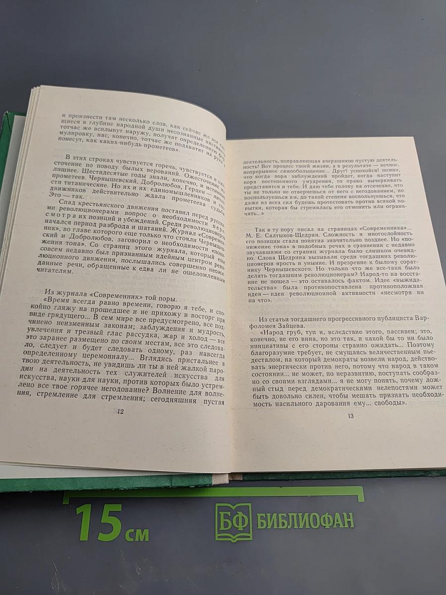 Мыслящий пролетариат Писарева