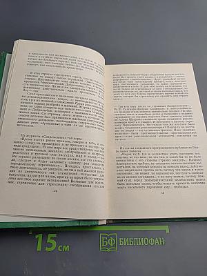 Мыслящий пролетариат Писарева