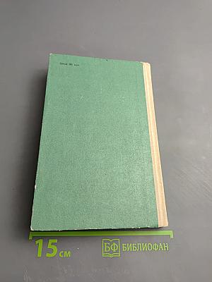 Мыслящий пролетариат Писарева