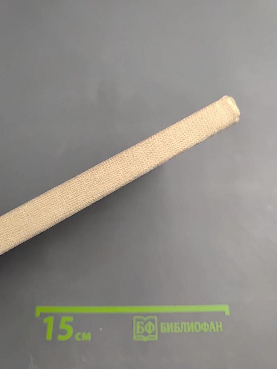 Мыслящий пролетариат Писарева