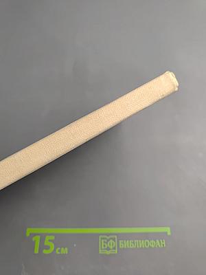 Мыслящий пролетариат Писарева