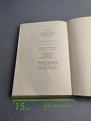 На родине И.С. Тургенева