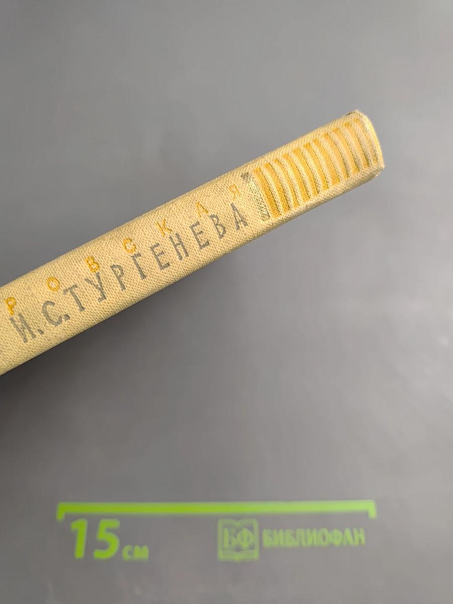 На родине И.С. Тургенева