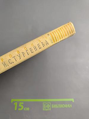 На родине И.С. Тургенева