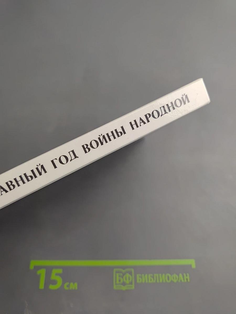 Славный год войны народной