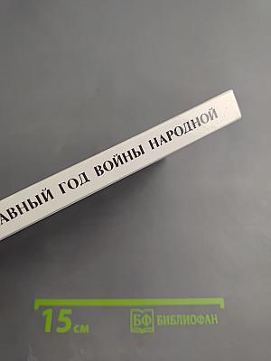 Славный год войны народной