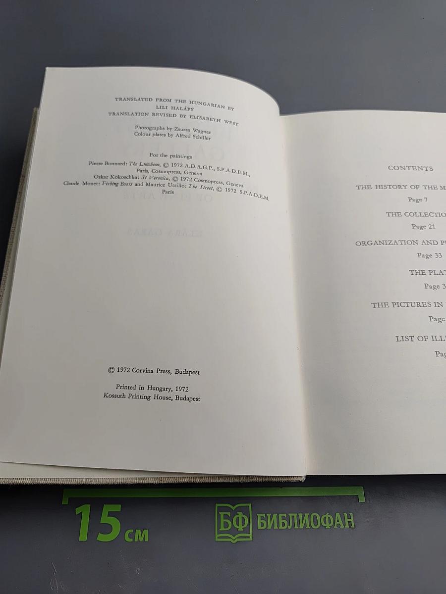 The Budapest Gallery - Paintings in the Museum of Fine Arts