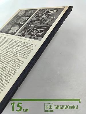 400 Ratschläge für den Hundefreund