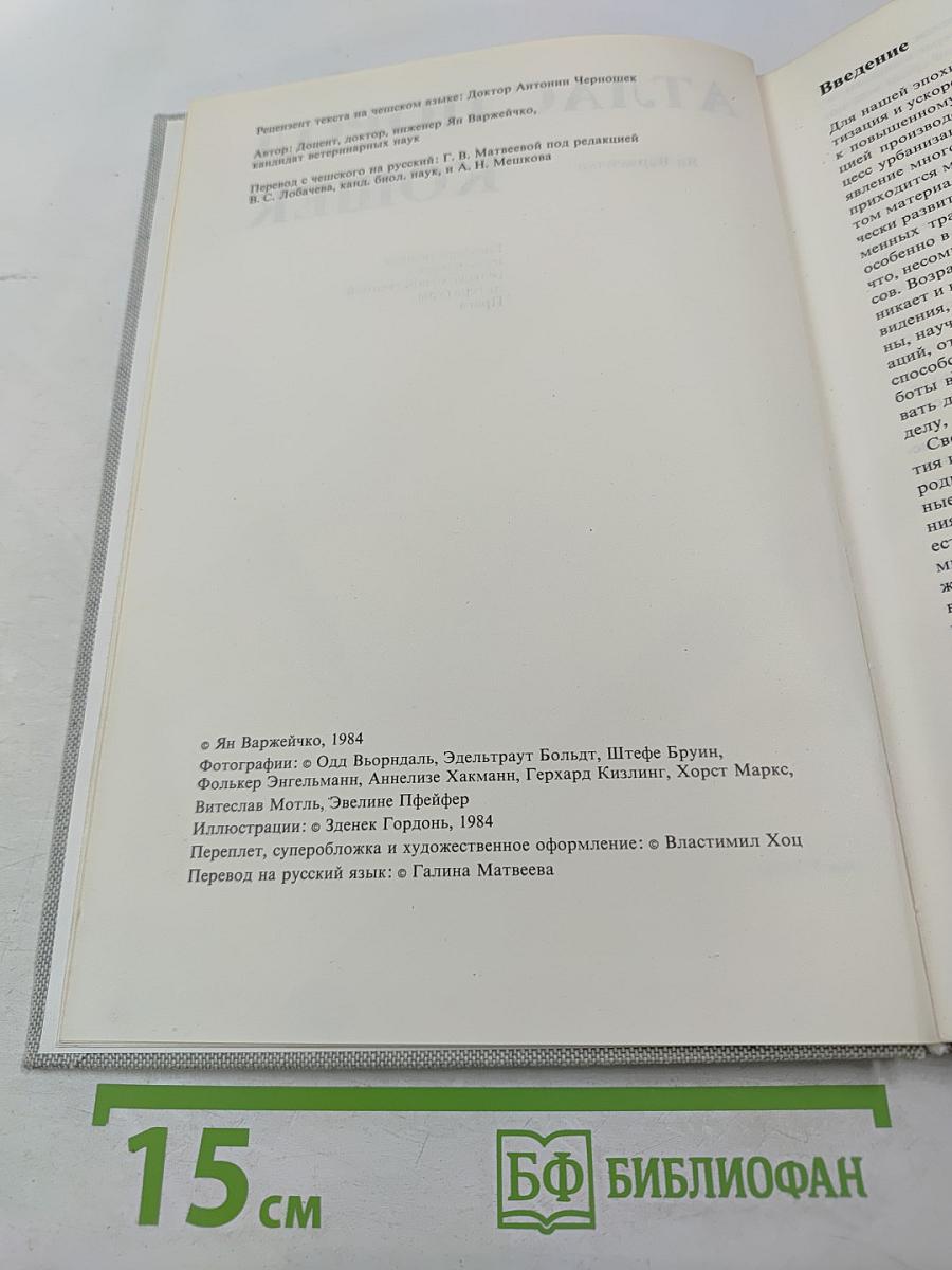 Атлас пород кошек