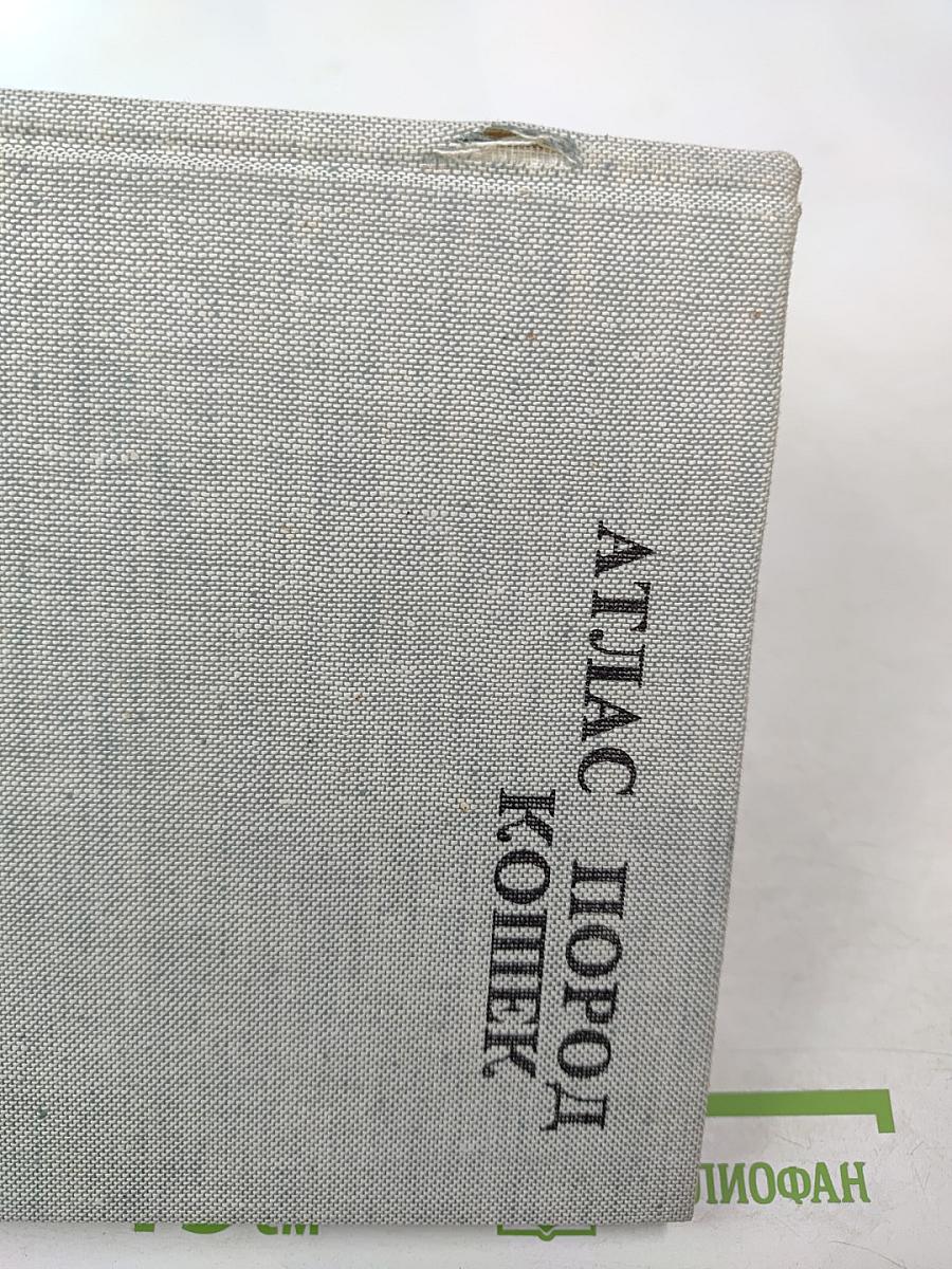 Атлас пород кошек