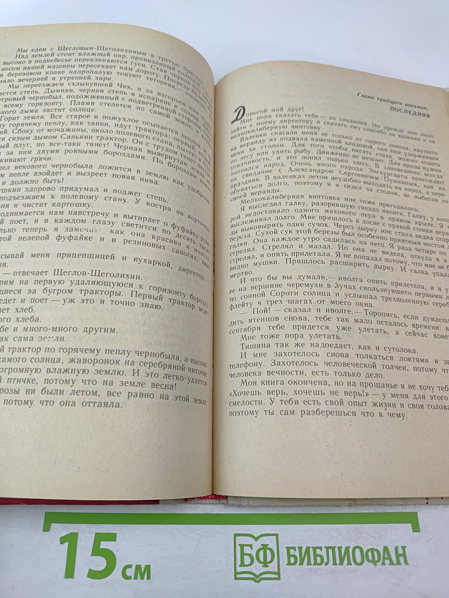 Где наша не пропадала