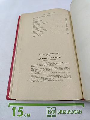 Где наша не пропадала