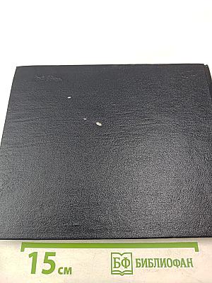 Краснознаменный Северный флот