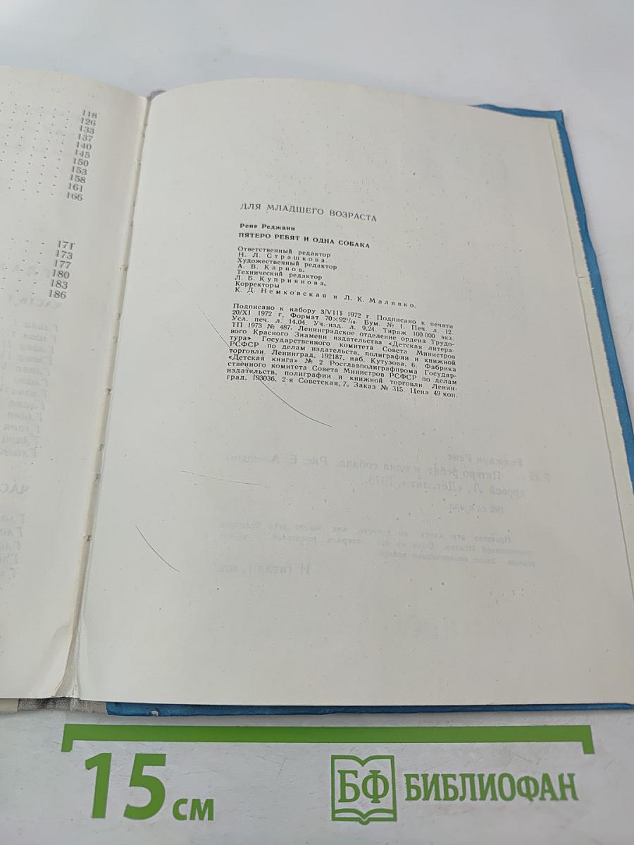 Пятеро ребят и одна собака