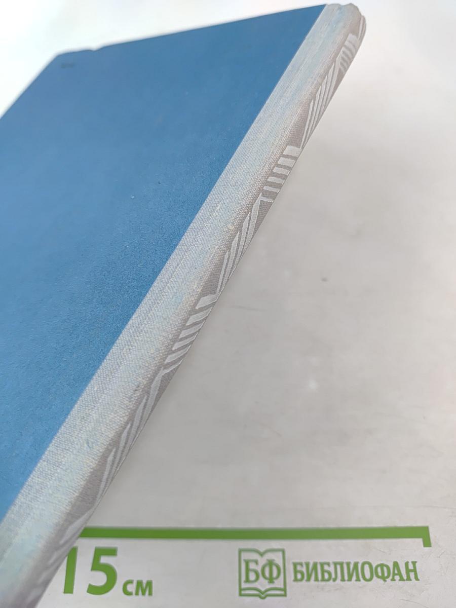 Пятеро ребят и одна собака