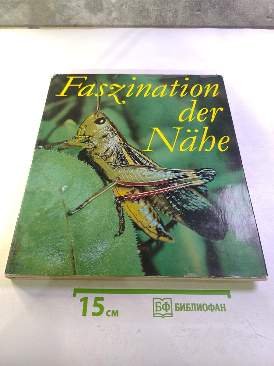 Faszination der Nähe