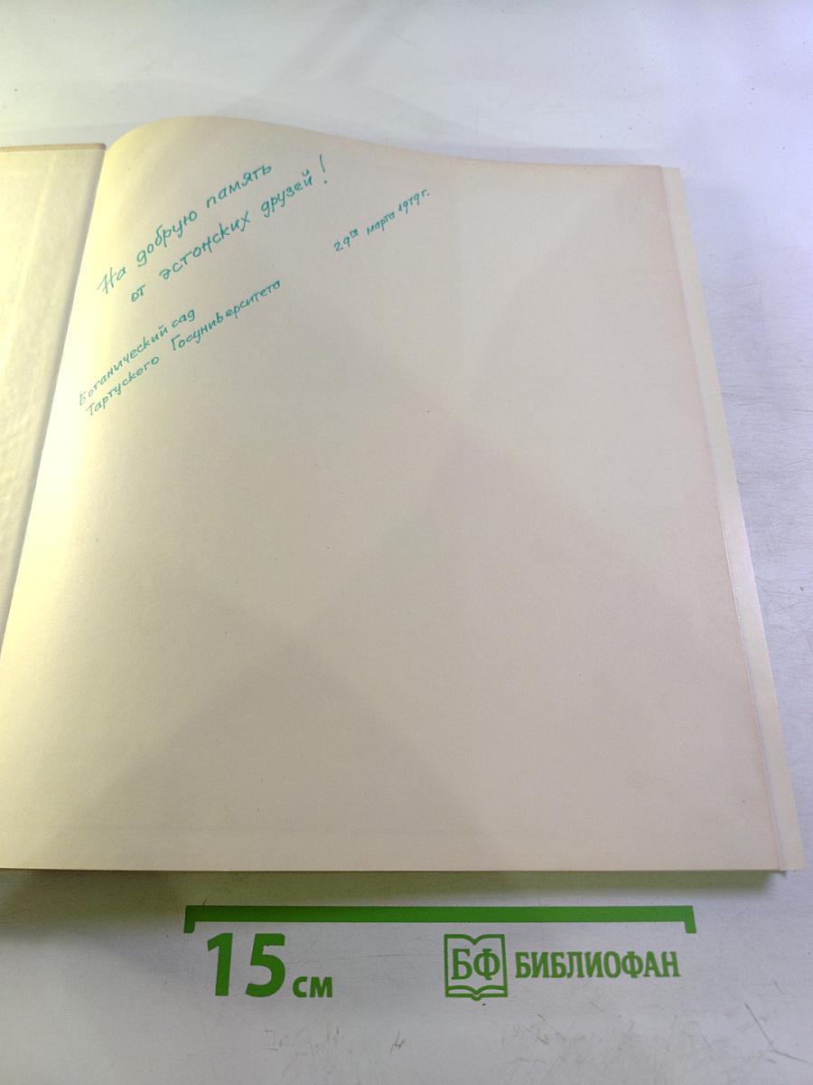 Faszination der Nähe