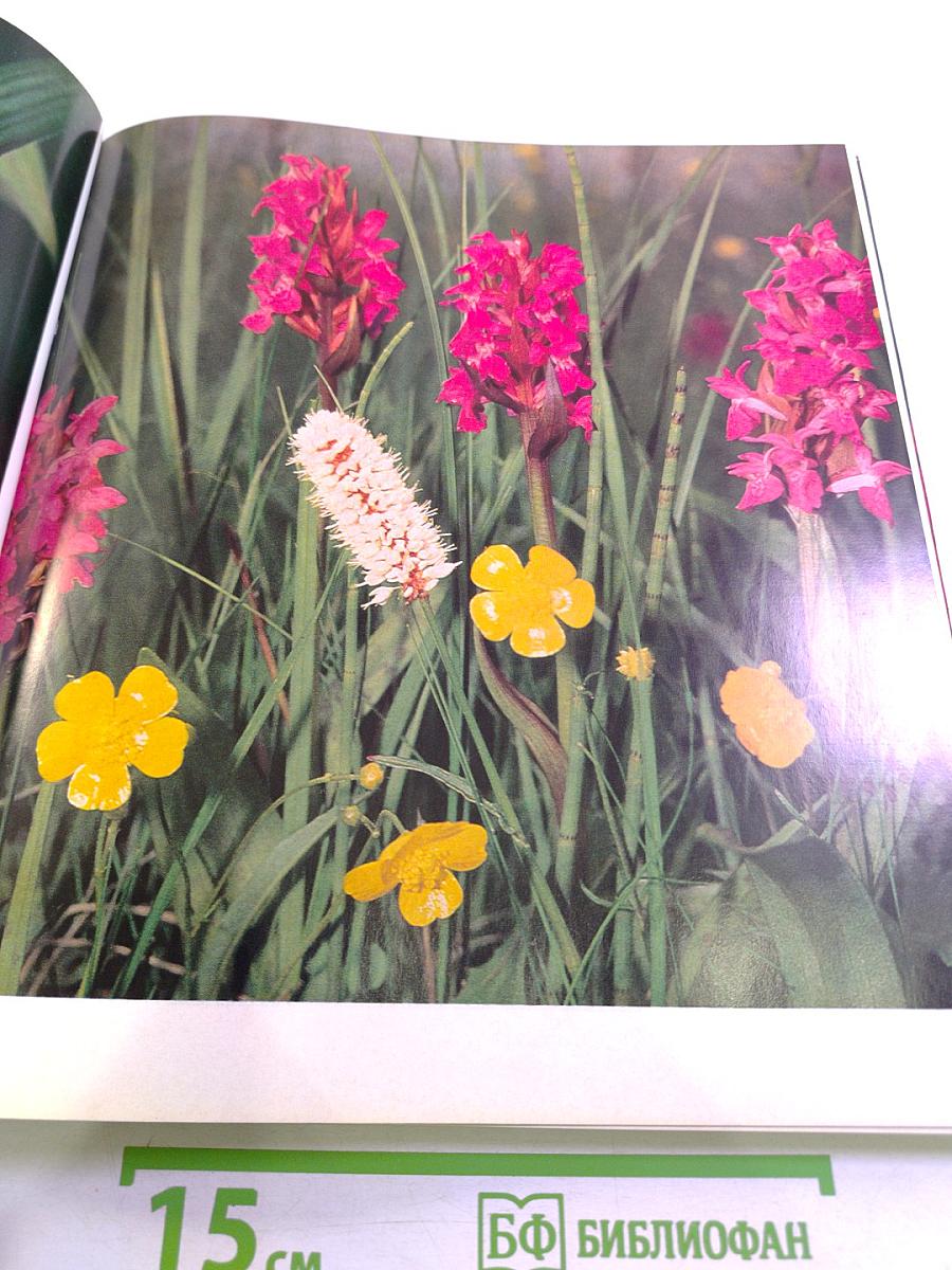 Faszination der Nähe